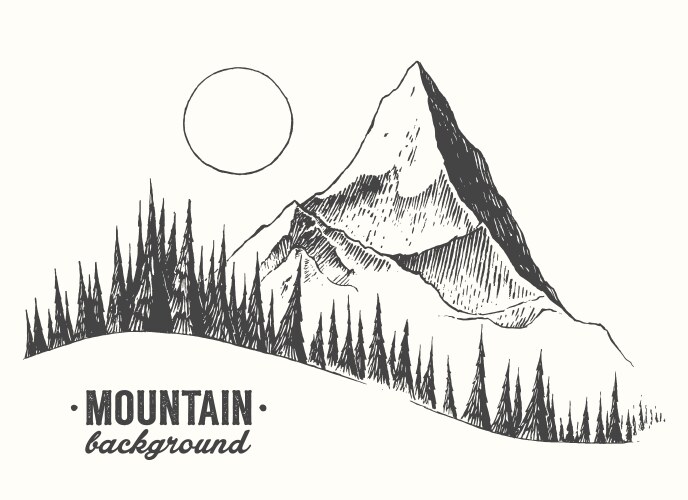 fir forest mountain drawn vector image