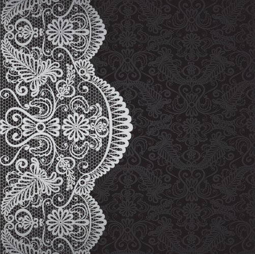 card with lace border vector image