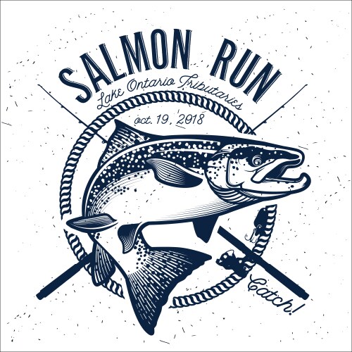 vintage salmon fishing emblems vector image