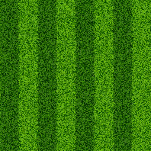 Seamless green grass field vector image