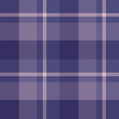 Kind tartan plaid textile nyc fabric texture vector image