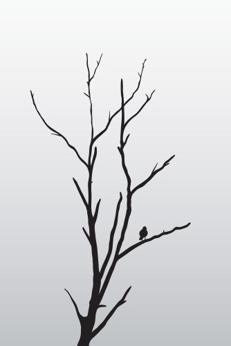 Tree and bird vector image