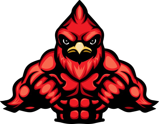 Strong cartoon red cardinal mascot vector image