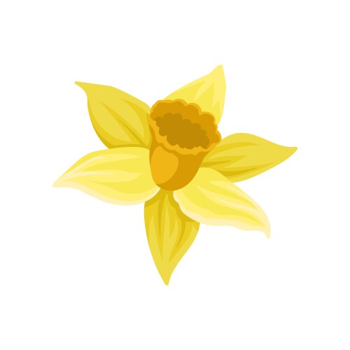 Flat icon daffodil narcissus vector image