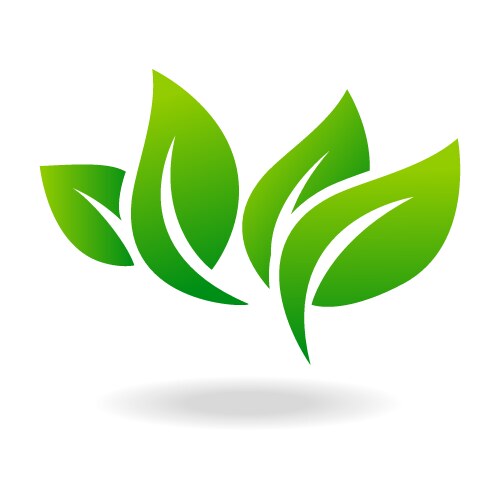 Eco icon green leaf isolated vector image