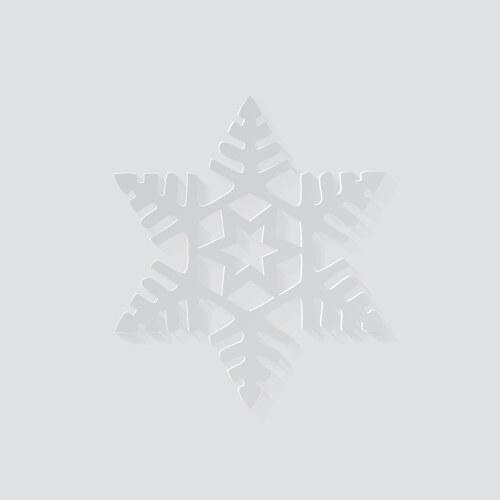 Snowflake shape icon vector image