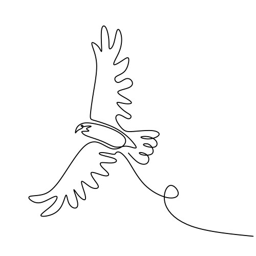 drawing eagle bird flying continuous one line vector image