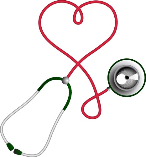 Heart shape stethoscope cardiology concept vector image