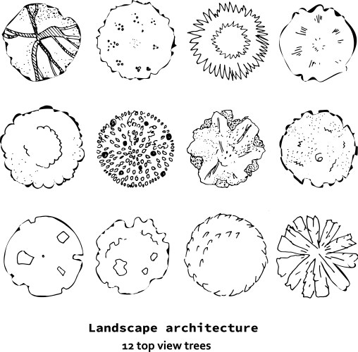 Top view set different treeshand drawn vector image