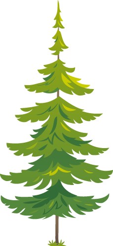 One tiny spruce tree isolated vector image