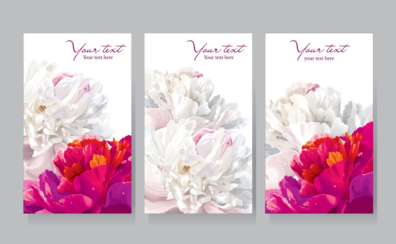 Red white peony cards vector image