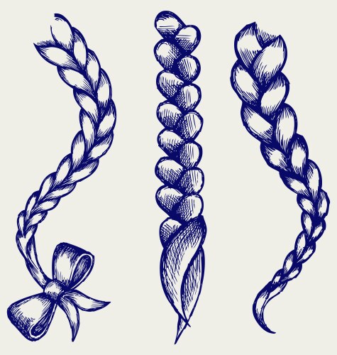 Women braid vector image