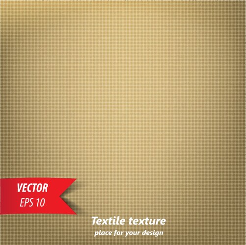 Textile texture 5 vector image