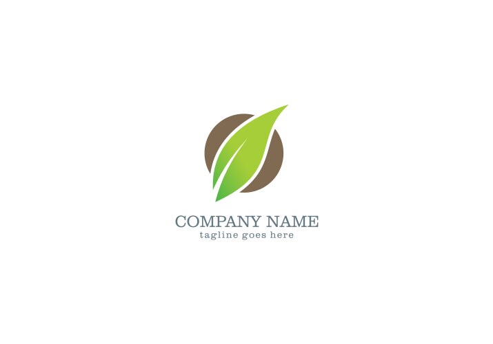 green leaf organic company logo vector image