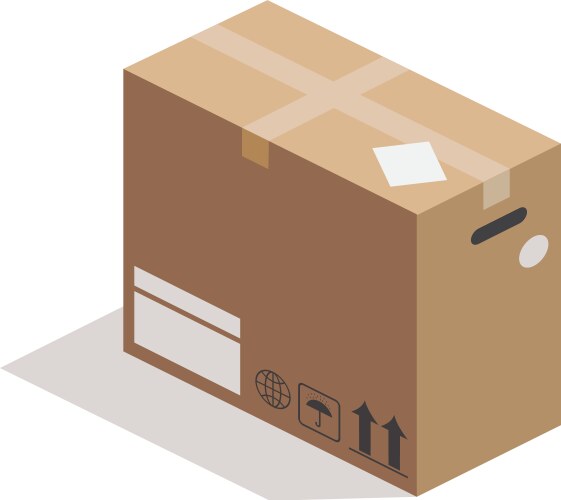 Carton box side view vector image