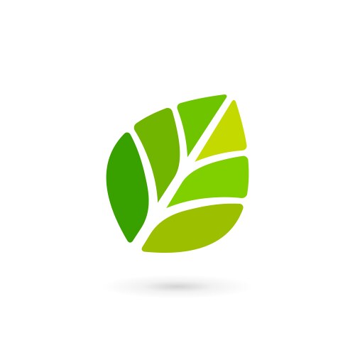 eco leaves logo icon design template elements vector image