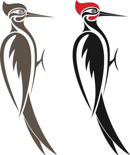 woodpecker vector image