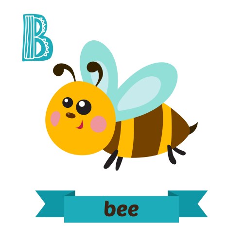 Bee b letter cute children animal alphabet vector image