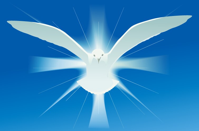 Holy spirit symbol vector image