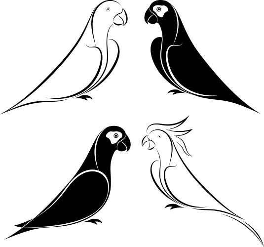 Set of parrot vector image