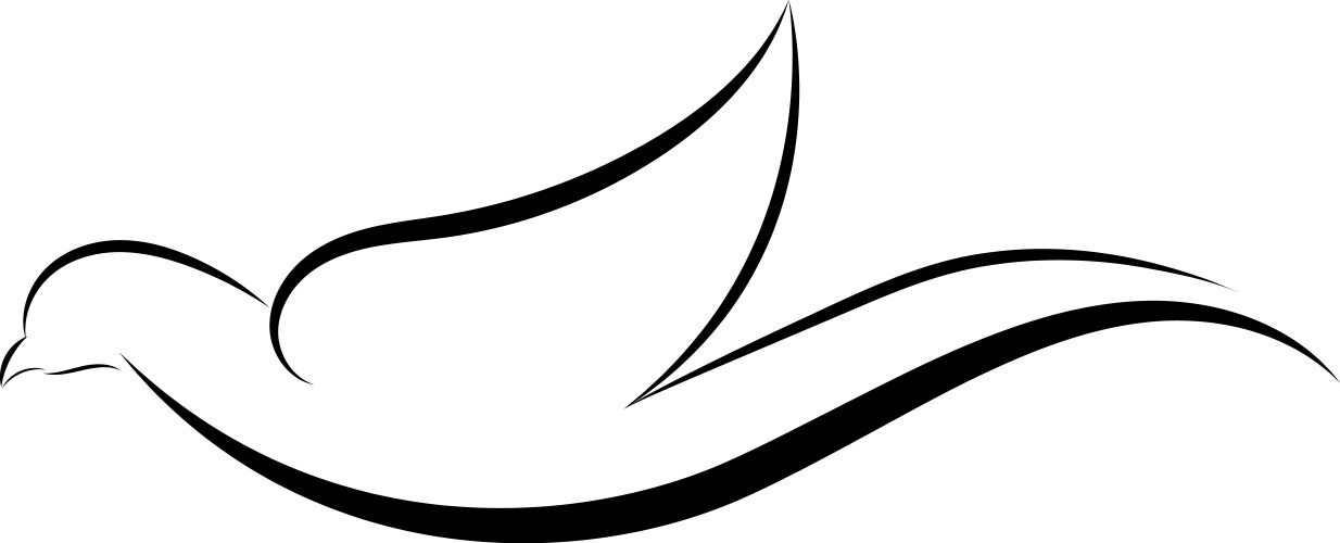 bird line drawing vector image