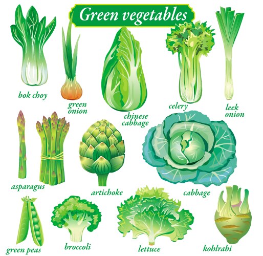 Green vegetables vector image