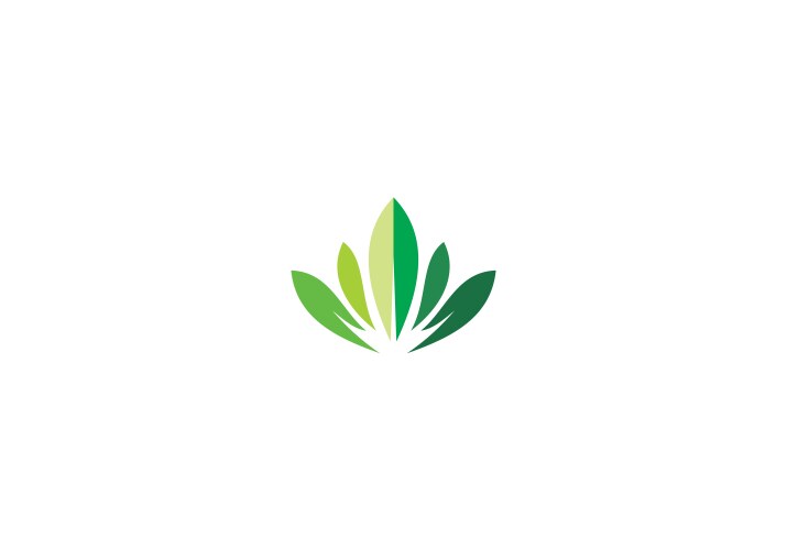 Green leaf organic logo vector image