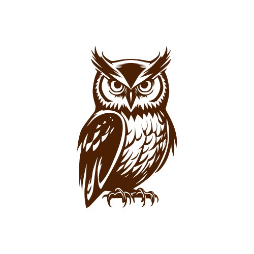 Owl bird animal design vector image