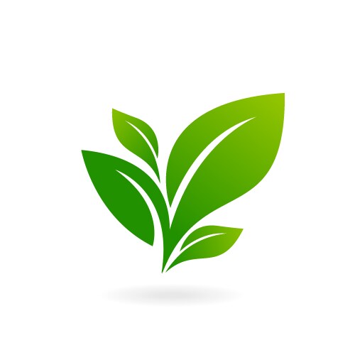 Logo green leaf ecology nature element vector image