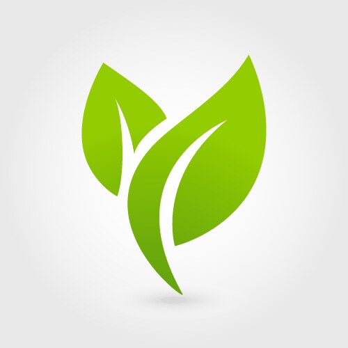 Eco icon green leaf isolated vector image