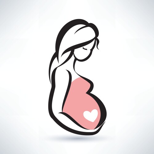 Pregnant woman stylized symbol vector image