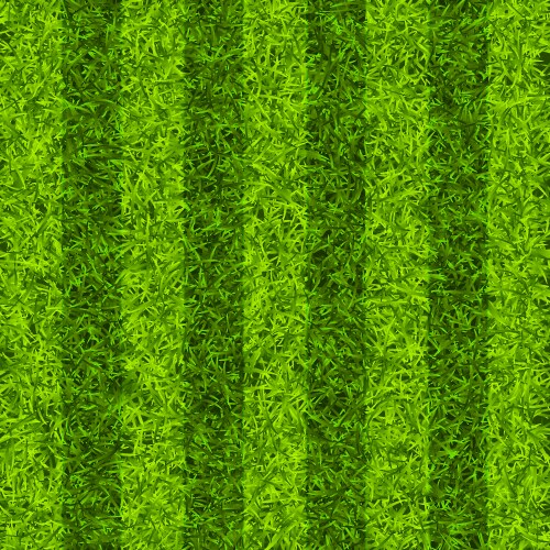 soccer playing field with green grass football vector image