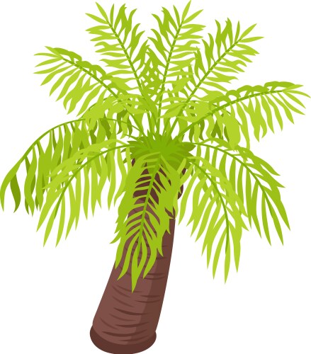 exotic palm botanical composition vector image