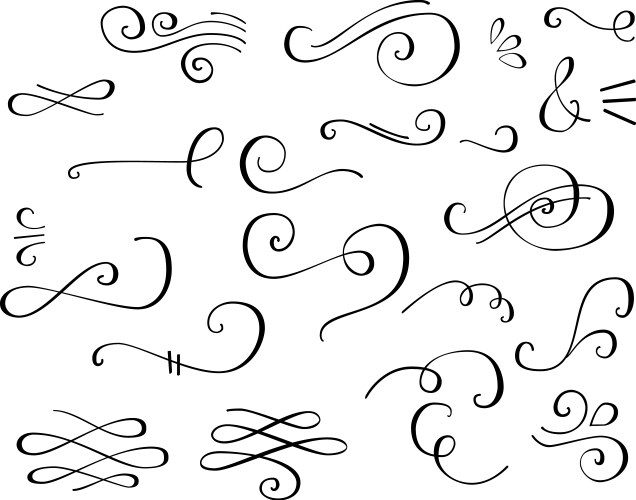 Flourish swirl ornate decoration vector image