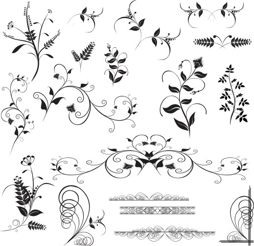 Floral design elements vector image