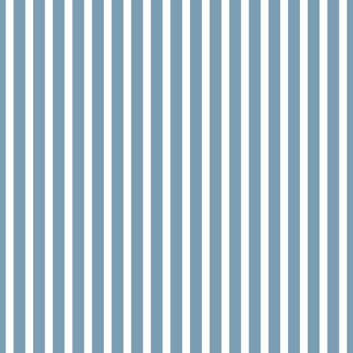 Hickory stripe pattern in delft blue and white vector image