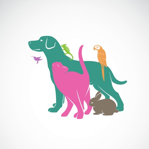 group pets - dog cat parrot chameleon rabbit vector image