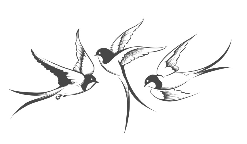 Flying swallow set bird in motion drawn vector image