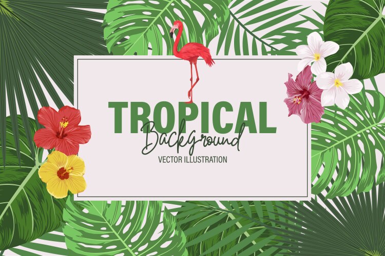 Botanical tropical jungle banner vector image