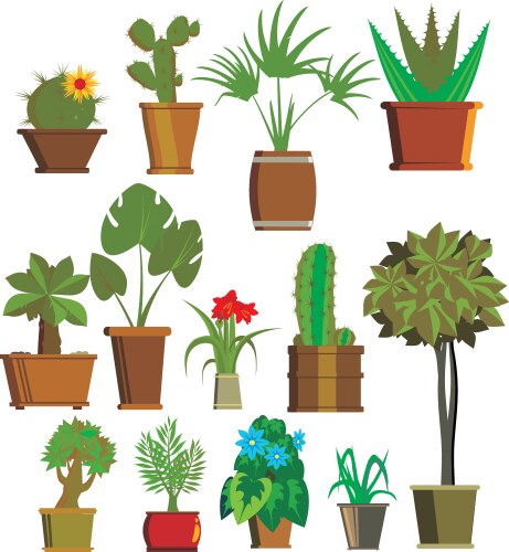 Plants vector image