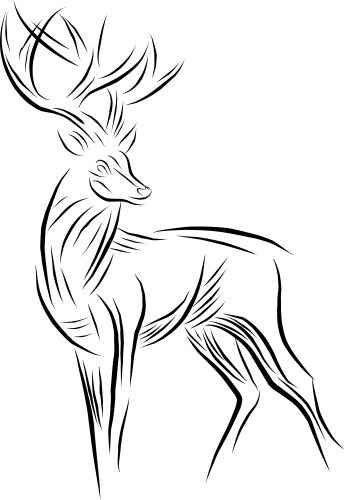 Sketch deer vector image