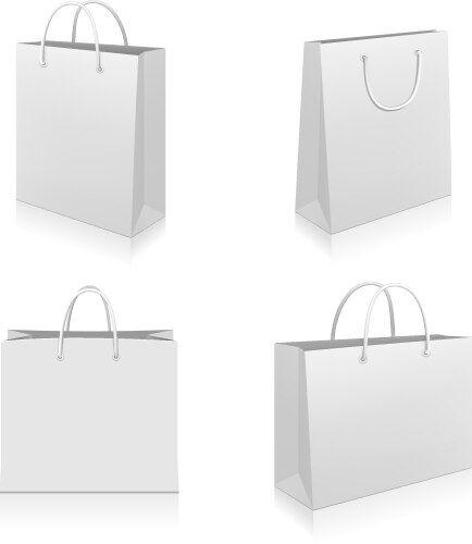 shopping bags vector image