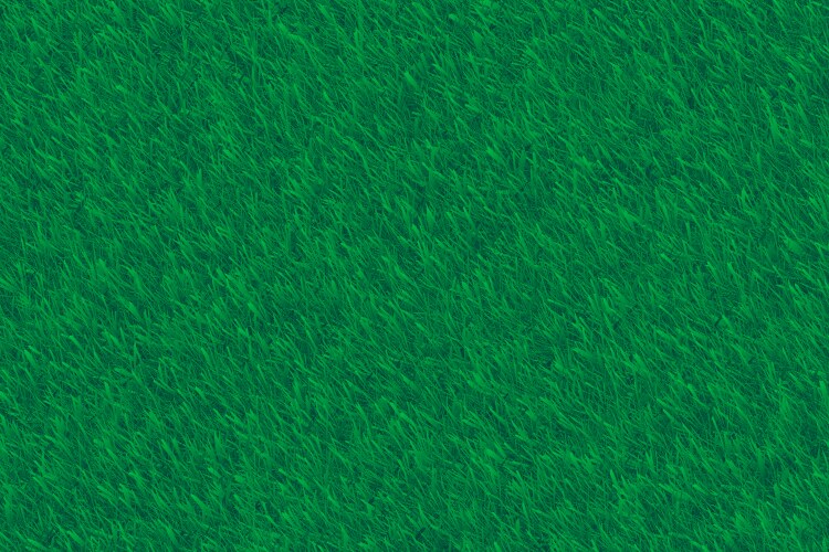 grass background realistic lawn vector image