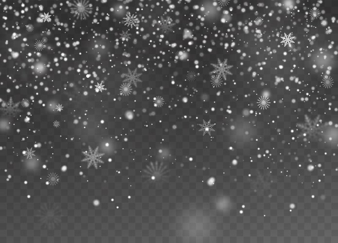 Falling snow christmas fall shining little vector image