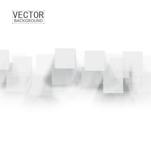 White squares vector image