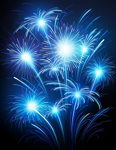 Fireworks vector image