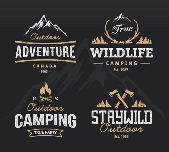 Outdoor retro emblems vector image