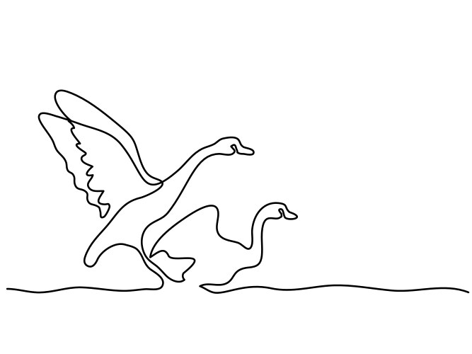 continuous one line drawing flying swans logo vector image