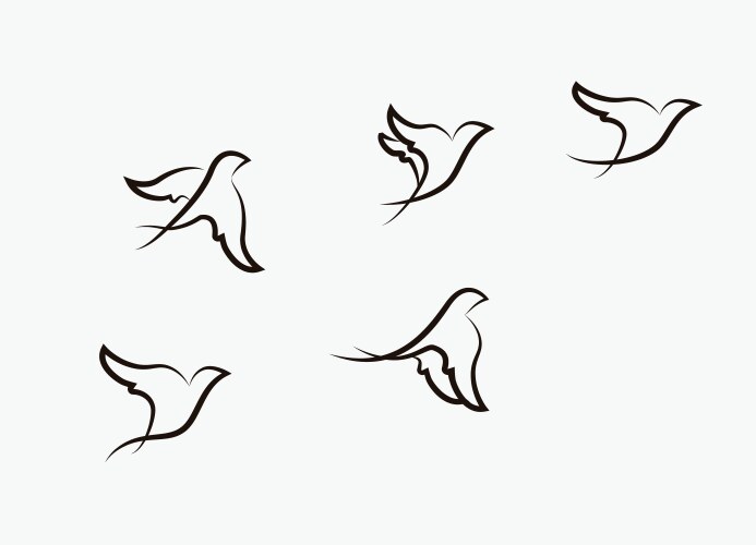 Birds flying stylized hand drawn ill vector image