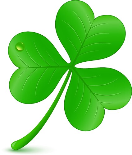 St patricks day symbol vector image